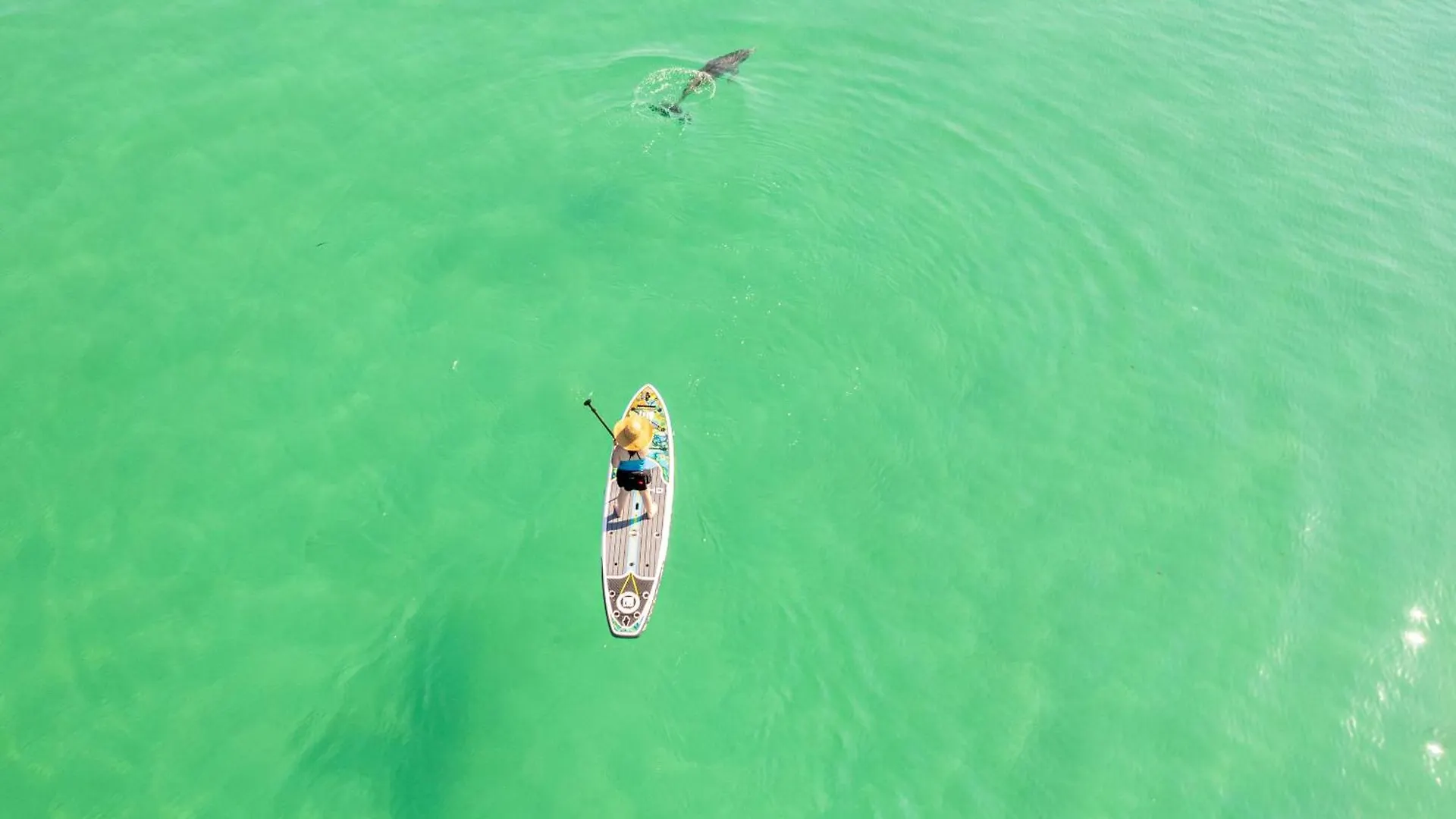 Oceania 705- By Holiday Isle Properties Destin 0*,  United States