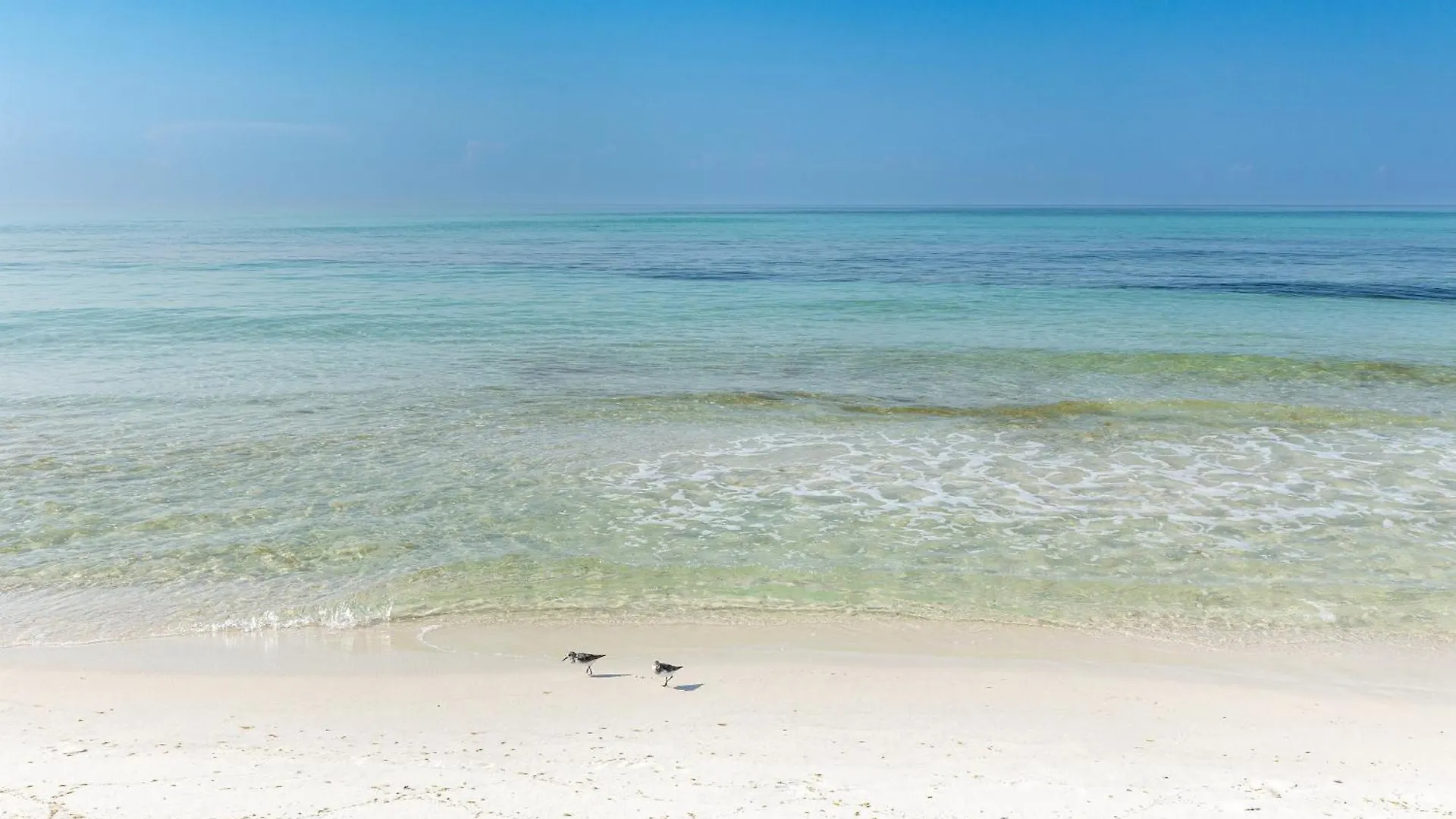 Oceania 705- By Holiday Isle Properties Destin Apartment